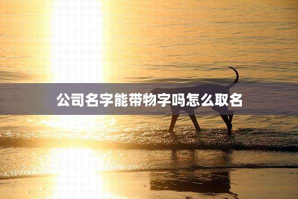 公司名字能带物字吗怎么取名