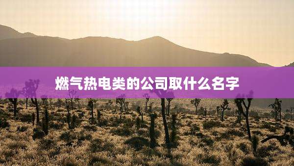 燃气热电类的公司取什么名字