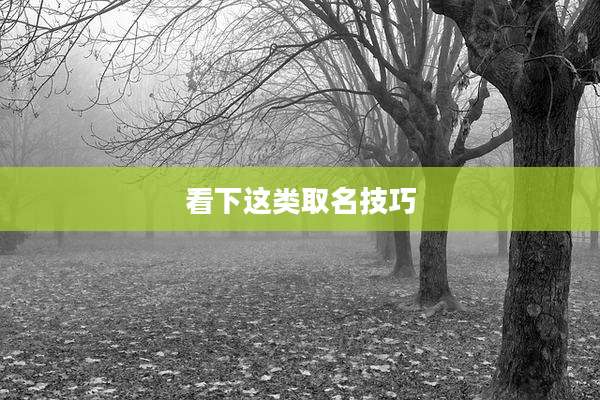 看下这类取名技巧