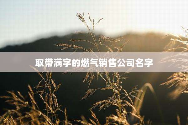 取带满字的燃气销售公司名字