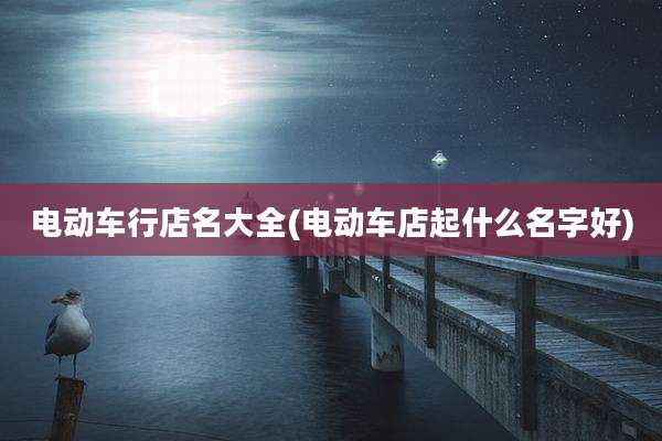 电动车行店名大全(电动车店起什么名字好)
