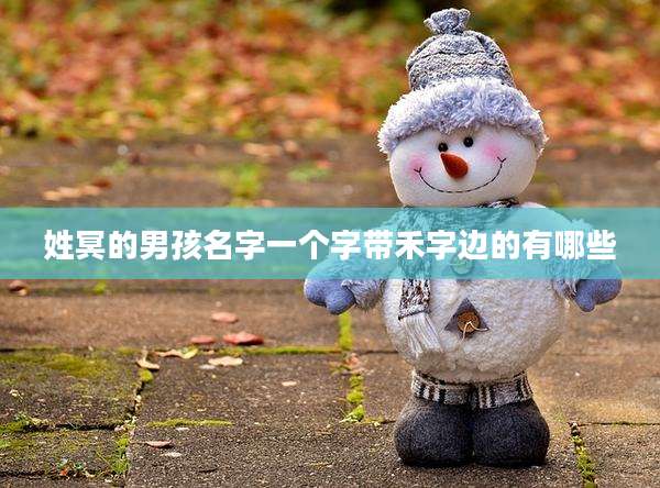 姓冥的男孩名字一个字带禾字边的有哪些