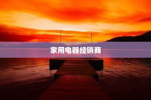 家用电器经销商