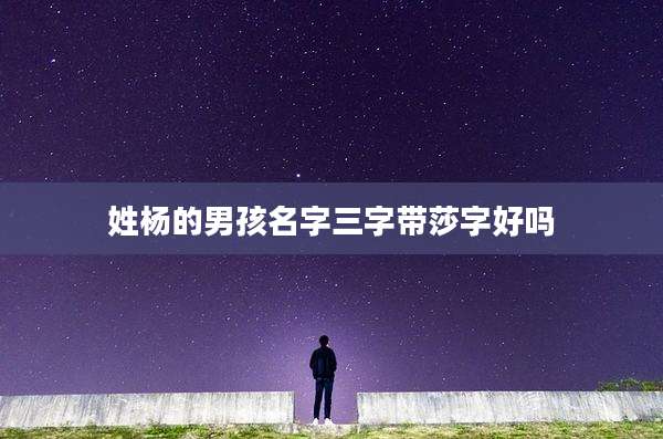 姓杨的男孩名字三字带莎字好吗