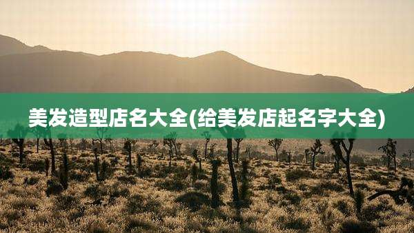 美发造型店名大全(给美发店起名字大全)