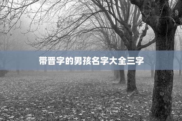 带晋字的男孩名字大全三字