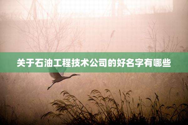 关于石油工程技术公司的好名字有哪些