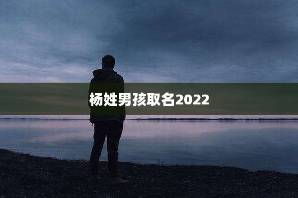 杨姓男孩取名2022