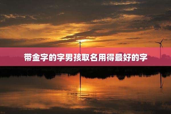 带金字的字男孩取名用得最好的字