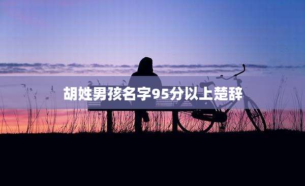 胡姓男孩名字95分以上楚辞