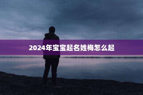 2024年宝宝起名姓梅怎么起