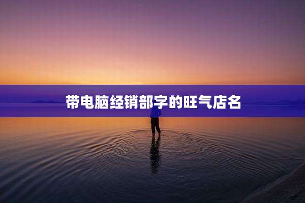 带电脑经销部字的旺气店名