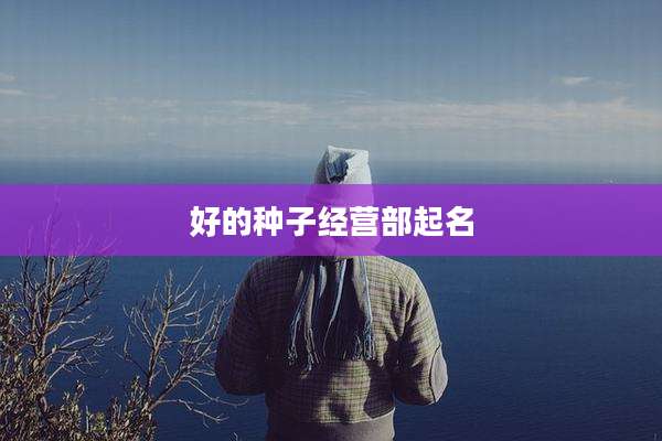 好的种子经营部起名