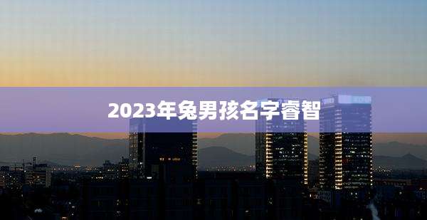 2023年兔男孩名字睿智