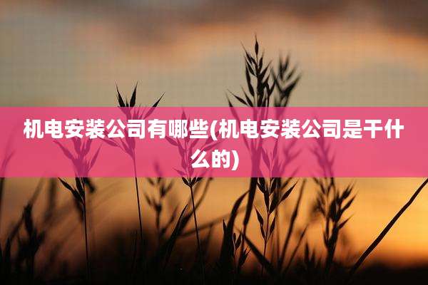机电安装公司有哪些(机电安装公司是干什么的)