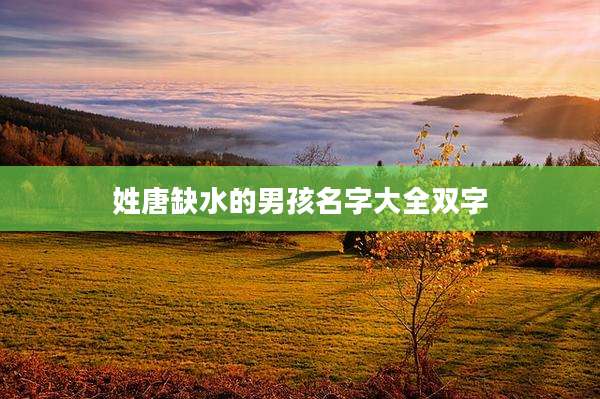 姓唐缺水的男孩名字大全双字