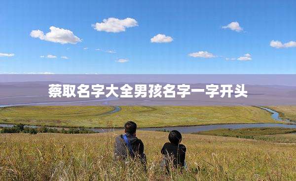 蔡取名字大全男孩名字一字开头
