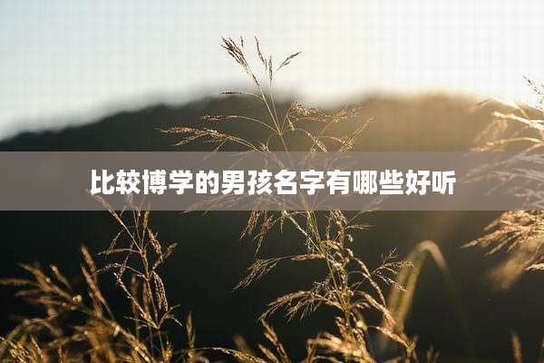 比较博学的男孩名字有哪些好听