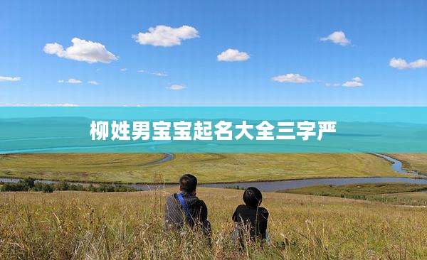 柳姓男宝宝起名大全三字严