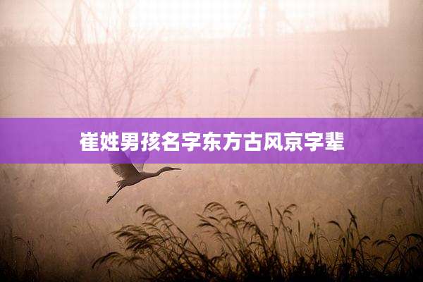 崔姓男孩名字东方古风京字辈