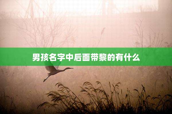 男孩名字中后面带黎的有什么