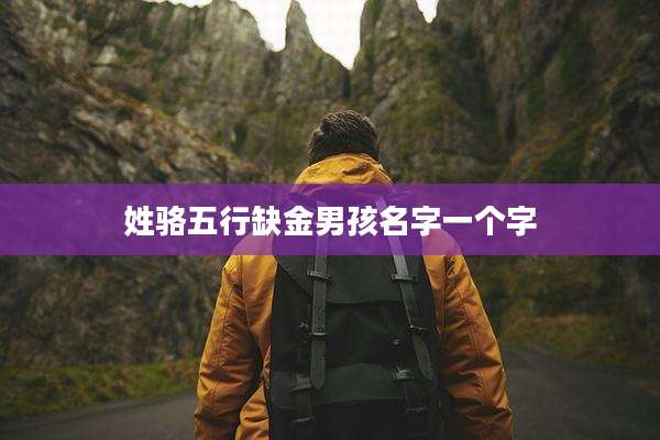 姓骆五行缺金男孩名字一个字
