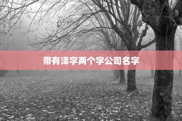 带有泽字两个字公司名字