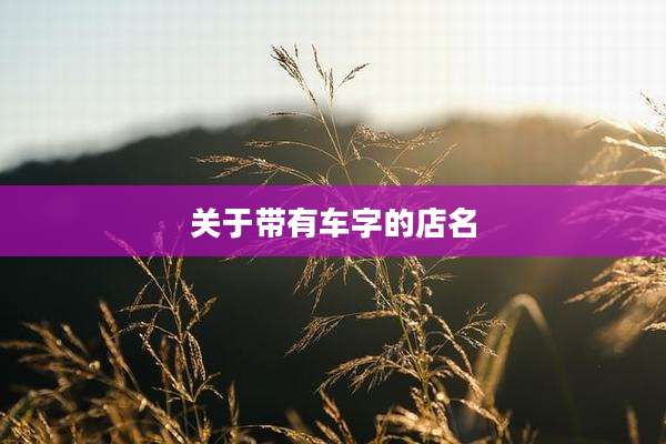 关于带有车字的店名