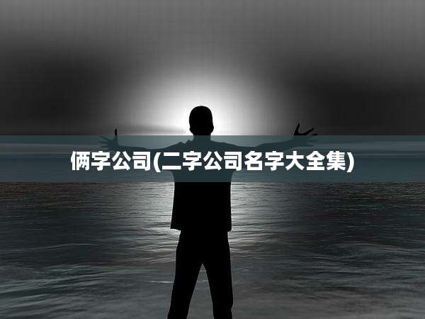 俩字公司(二字公司名字大全集)
