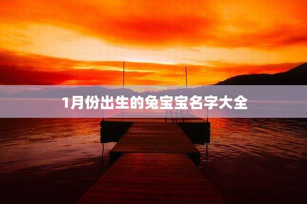 1月份出生的兔宝宝名字大全