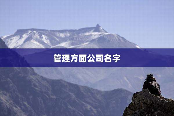 管理方面公司名字