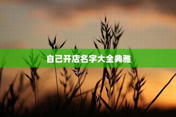 自己开店名字大全典雅