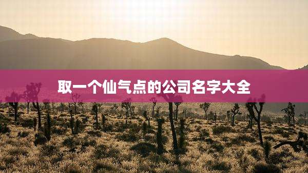 取一个仙气点的公司名字大全