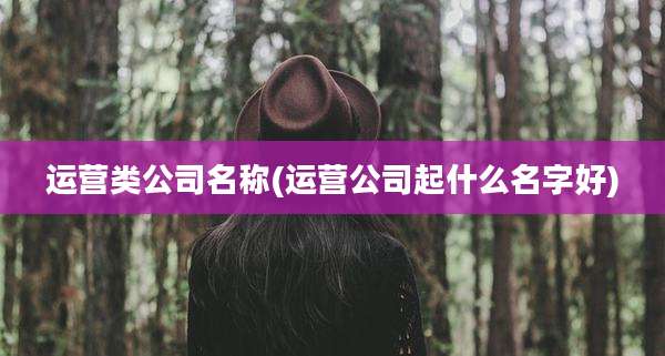 运营类公司名称(运营公司起什么名字好)