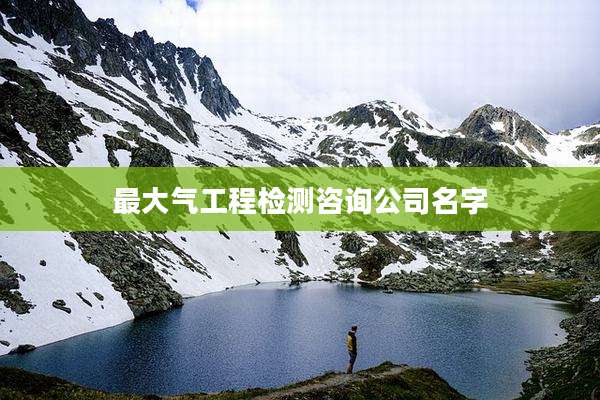 最大气工程检测咨询公司名字