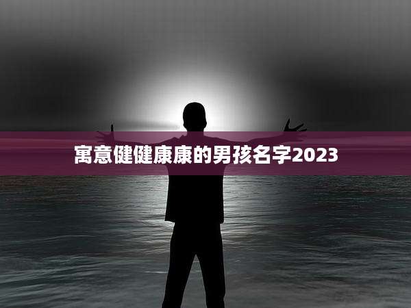 寓意健健康康的男孩名字2023