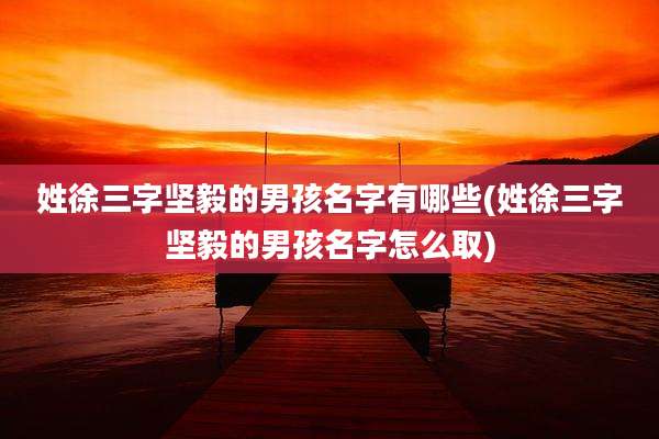 姓徐三字坚毅的男孩名字有哪些(姓徐三字坚毅的男孩名字怎么取)