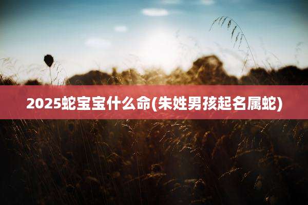2025蛇宝宝什么命(朱姓男孩起名属蛇)