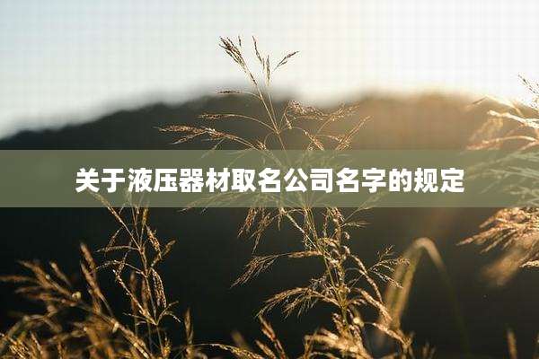 关于液压器材取名公司名字的规定