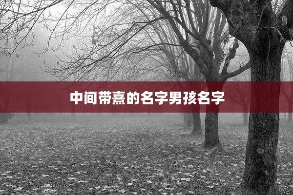 中间带熹的名字男孩名字