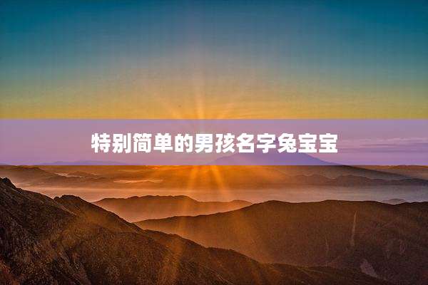 特别简单的男孩名字兔宝宝