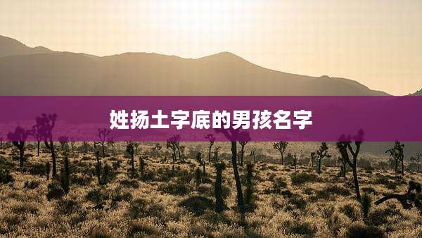姓扬土字底的男孩名字