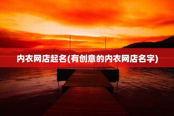 内衣网店起名(有创意的内衣网店名字)