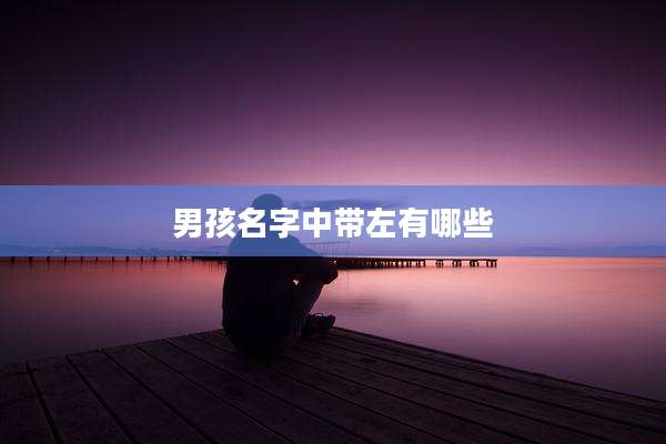 男孩名字中带左有哪些