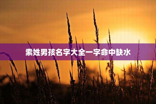 索姓男孩名字大全一字命中缺水