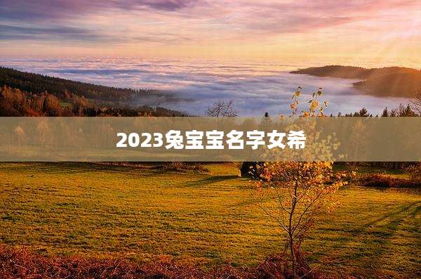 2023兔宝宝名字女希