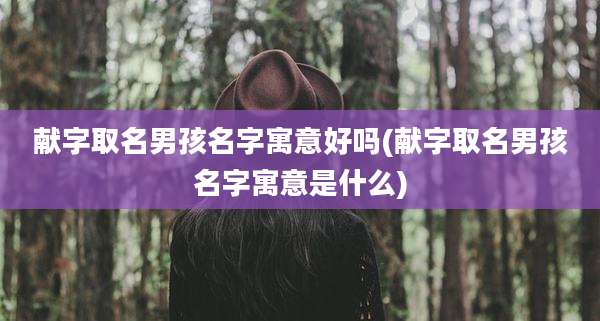 献字取名男孩名字寓意好吗(献字取名男孩名字寓意是什么)