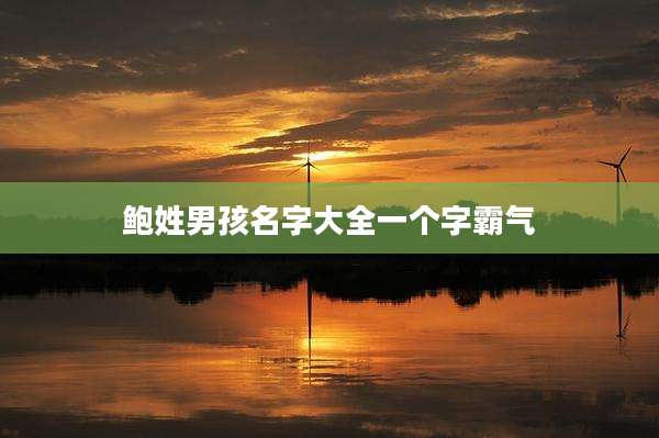 鲍姓男孩名字大全一个字霸气
