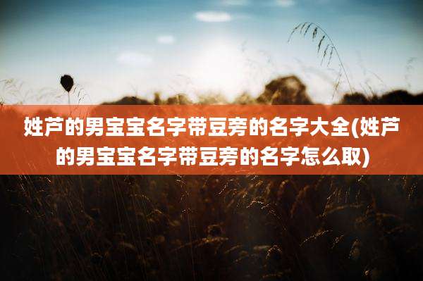 姓芦的男宝宝名字带豆旁的名字大全(姓芦的男宝宝名字带豆旁的名字怎么取)