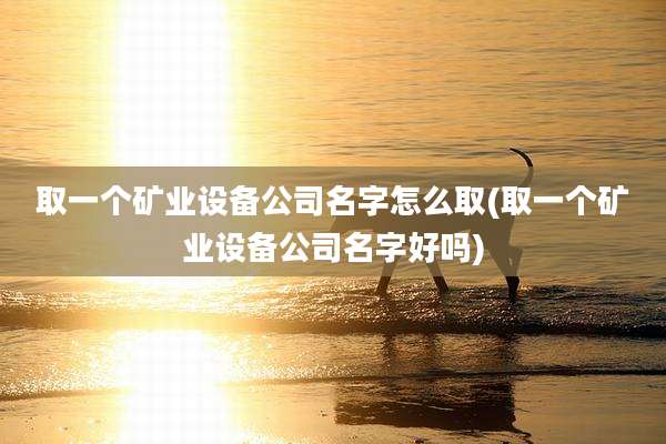 取一个矿业设备公司名字怎么取(取一个矿业设备公司名字好吗)